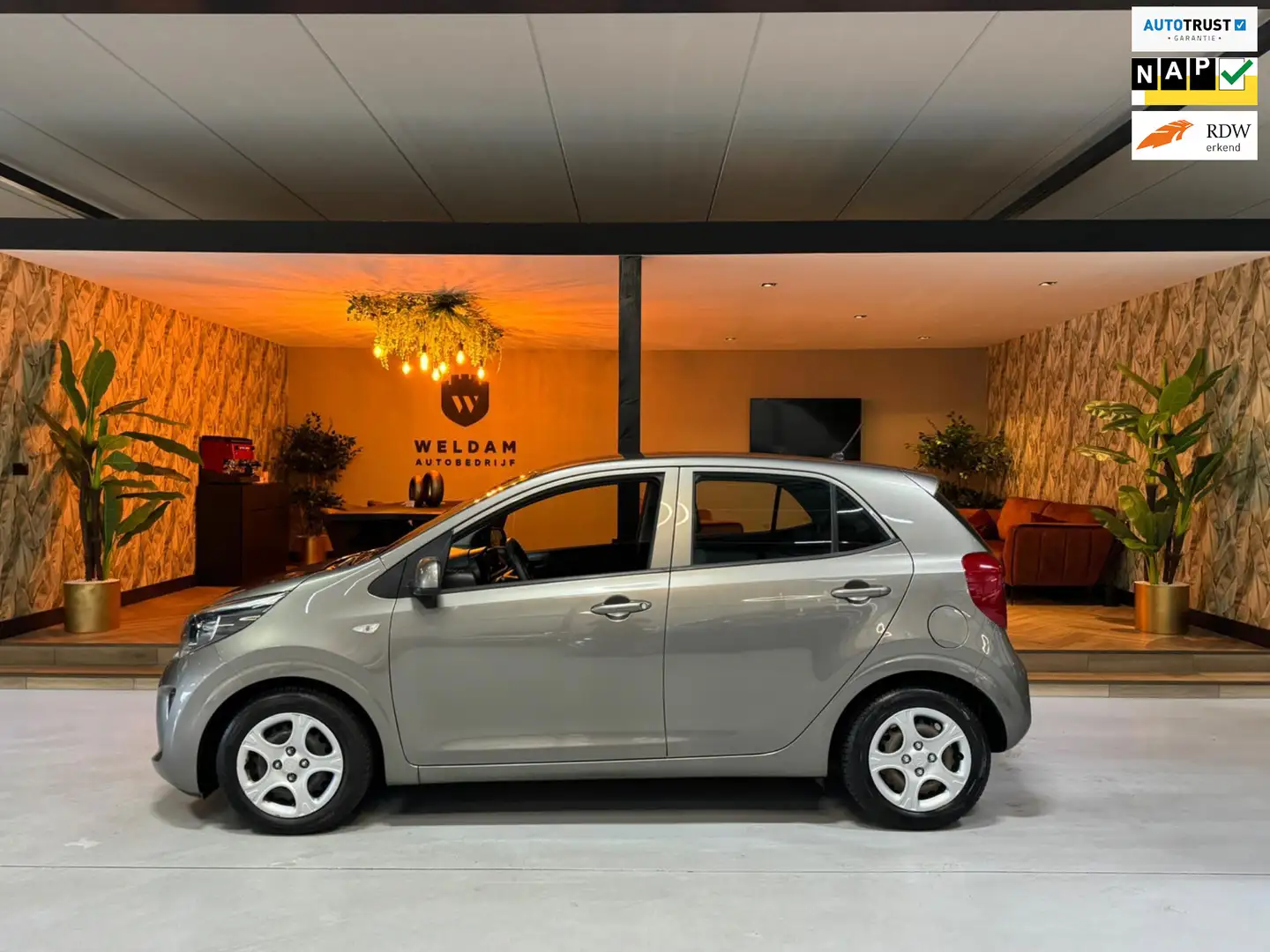 Kia Picanto 1.0 CVVT EconomyPlusLine NAP Bluetooth LED Rijklaa Gris - 1