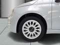 Fiat 500 DOLCEVITA Tech-und Komfort-Paket Panorama Navi App Grün - thumbnail 4