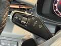 CUPRA Terramar 2.0 TSI DSG 4Drive VZ Akebono Sennheiser Matrix Pa Grau - thumbnail 15