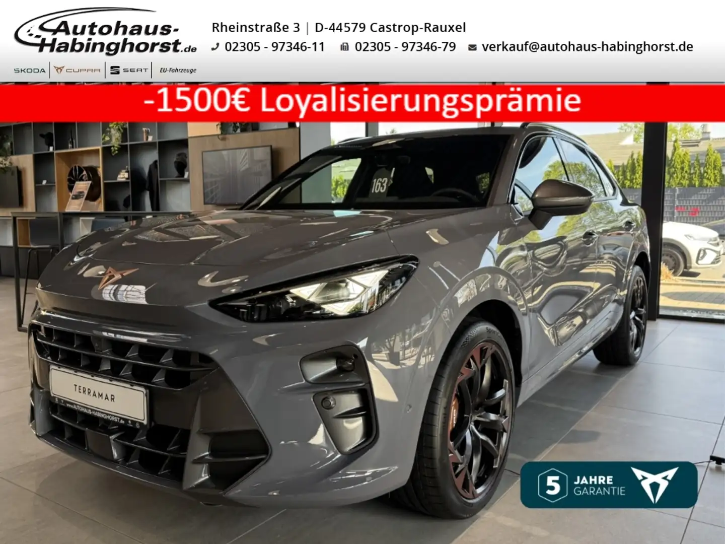 CUPRA Terramar 2.0 TSI DSG 4Drive VZ Akebono Sennheiser Matrix Pa Grau - 1