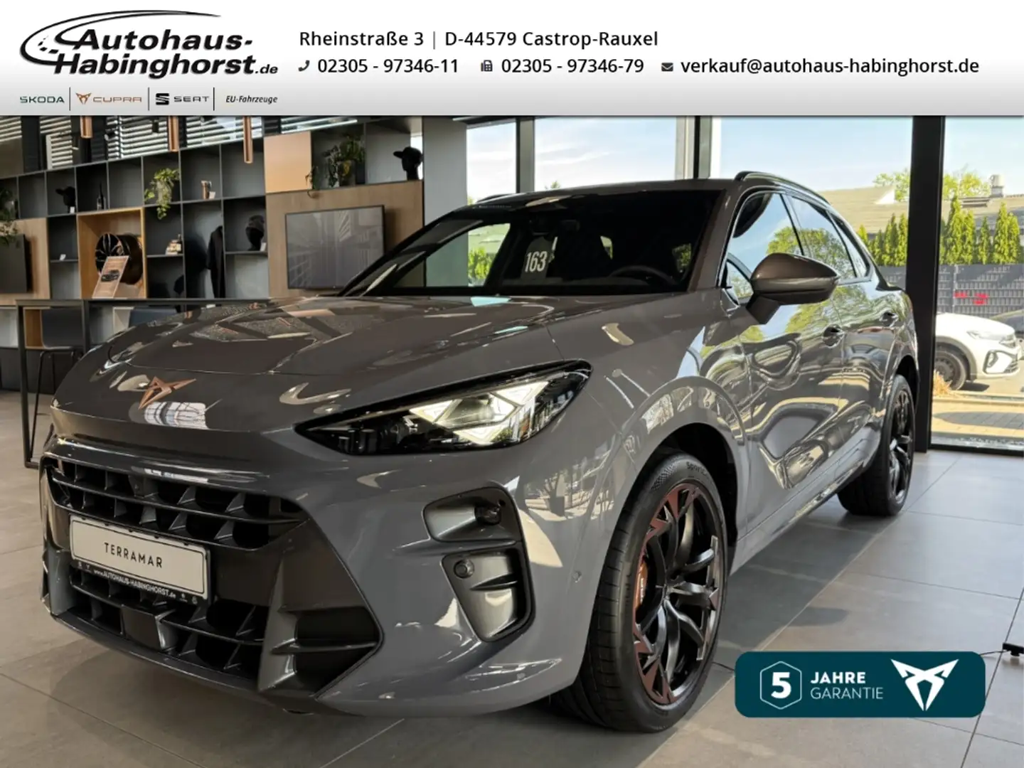 CUPRA Terramar 2.0 TSI DSG 4Drive VZ Akebono Sennheiser Matrix Pa Grau - 1