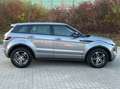 Land Rover Range Rover Evoque Dynamic 2,2 Automatik Navi Kamera 1-Hand* Gris - thumbnail 6