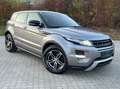 Land Rover Range Rover Evoque Dynamic 2,2 Automatik Navi Kamera 1-Hand* Gris - thumbnail 3