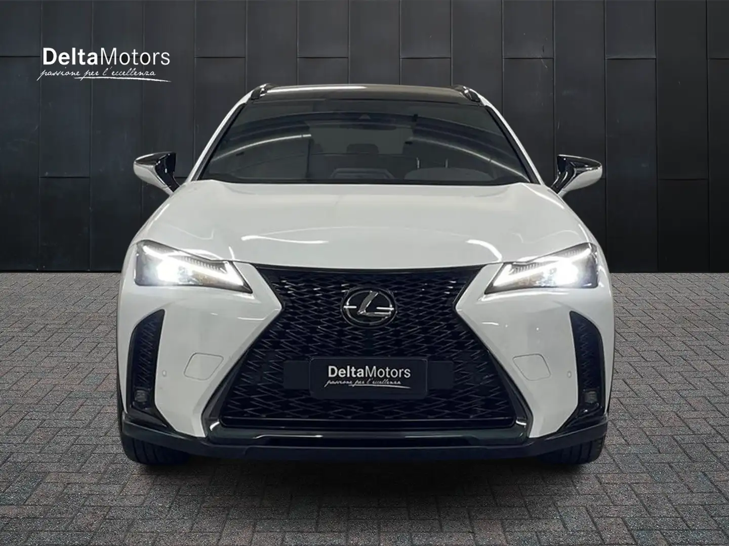 Lexus - UX Hybrid F Sport Bílá - 2