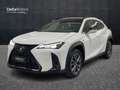 Lexus - UX Hybrid F Sport Bílá - thumbnail 1