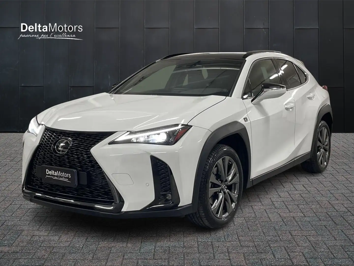 Lexus - UX Hybrid F Sport Bílá - 1