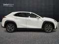 Lexus - UX Hybrid F Sport Bílá - thumbnail 3
