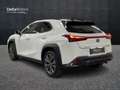 Lexus - UX Hybrid F Sport Bílá - thumbnail 5