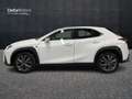 Lexus - UX Hybrid F Sport Bílá - thumbnail 4