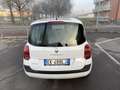 Renault Modus 1.2 Yahoo NEOPATENTATI Alb - thumbnail 5