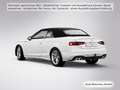 Audi S5 TFSI AHK/Massage/Navi+/Kamera Blanc - thumbnail 5