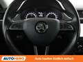 Skoda Octavia 1.6 TDI Ambition Schwarz - thumbnail 19