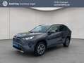 Toyota RAV 4 2.5 4x4 Hybrid Team Deutschland Gris - thumbnail 1
