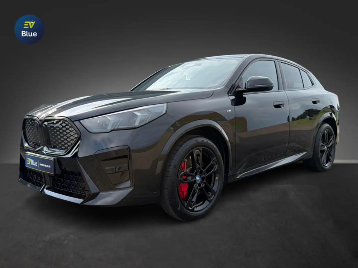 bmw ix2