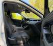 Land Rover Range Rover Evoque AWD Aut. *1.Besitz*AHK*LED*360°*SHZ*Navi* Weiß - thumbnail 15