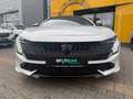 Peugeot 508 SW PSE Hybrid4 360,Navi,Panodach,Allrad,ACC Weiß - thumbnail 3