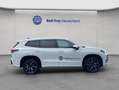 Volkswagen Tayron R-Line 2,0 l TDI 4MOTION PANO,AHK,STANDHZ Wit - thumbnail 7