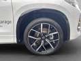 Volkswagen Tayron R-Line 2,0 l TDI 4MOTION PANO,AHK,STANDHZG. Weiß - thumbnail 27