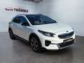 Kia XCeed 1.6 PHEV Platinum Edition +AHK +Glasdach Weiß - thumbnail 3