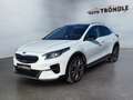 Kia XCeed 1.6 PHEV Platinum Edition +AHK +Glasdach Weiß - thumbnail 1