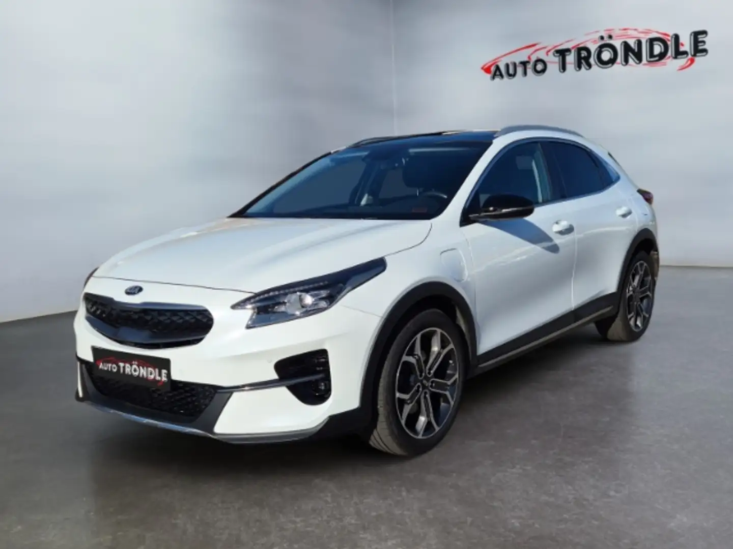 Kia XCeed 1.6 PHEV Platinum Edition +AHK +Glasdach Weiß - 1