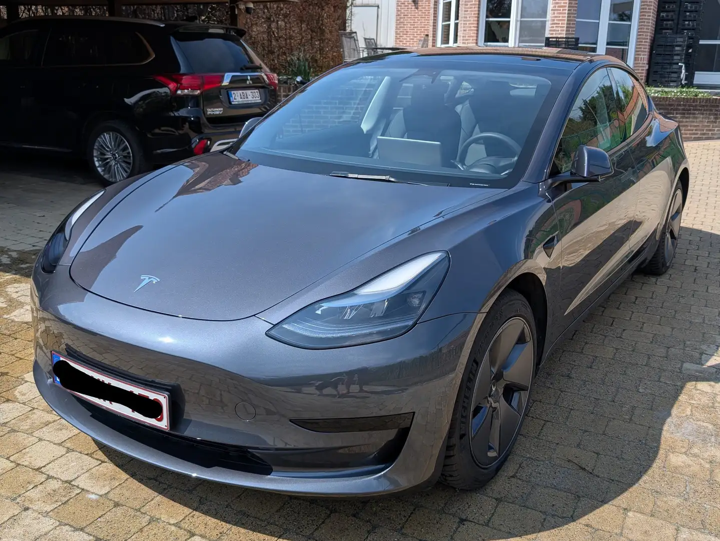 Tesla Model 3 Model 3 RWD Standard Range Gris - 2