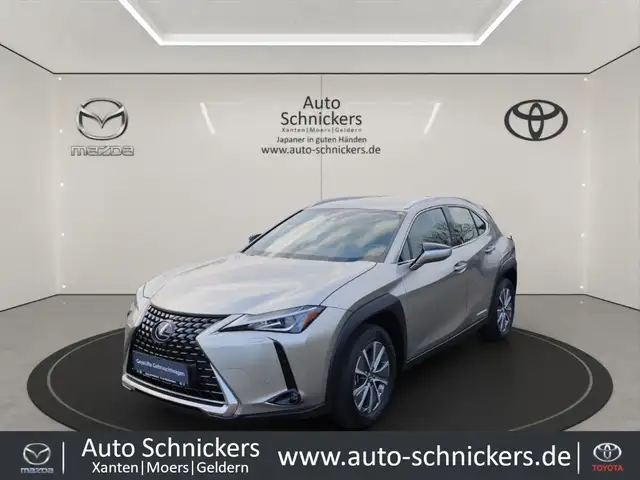 Lexus UX 300e +KAMERA+ACC+GJ-RÄDER !!