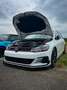Volkswagen Golf GTI 5p 2.0 tsi Performance 245cv Rosso - thumbnail 1