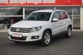 Volkswagen Tiguan 1.4 TSI AC Sitzheizung Radio BT Weiß - thumbnail 2