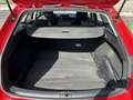 SEAT Leon 2.0TDI S&S Reference 115 Rojo - thumbnail 7