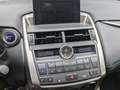 Lexus NX 300 300h 2.5 Luxury 4wd cvt Silver - thumbnail 7