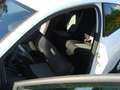 SEAT Ibiza Ibiza  3-Türer SC 1.4 16V SUN Sitzheizung/Temp. Weiß - thumbnail 9