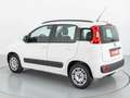 Fiat Panda LOUNGE 1.2 69CV Blanco - thumbnail 8
