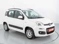 Fiat Panda LOUNGE 1.2 69CV Blanco - thumbnail 3