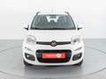 Fiat Panda LOUNGE 1.2 69CV Blanco - thumbnail 2