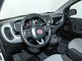 Fiat Panda LOUNGE 1.2 69CV Blanco - thumbnail 16