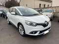 Renault Scenic Zen Weiß - thumbnail 1