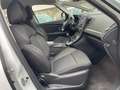 Renault Scenic Zen Weiß - thumbnail 6