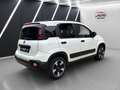 Fiat New Panda Cross Waze 1.2 Klima 1 Hand Weiß - thumbnail 5