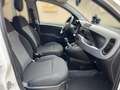 Fiat New Panda Cross Waze 1.2 Klima 1 Hand Weiß - thumbnail 15
