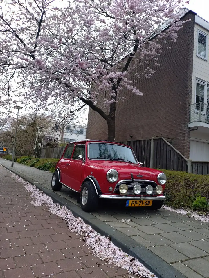 MINI 1300 1275 cooper, foto 3