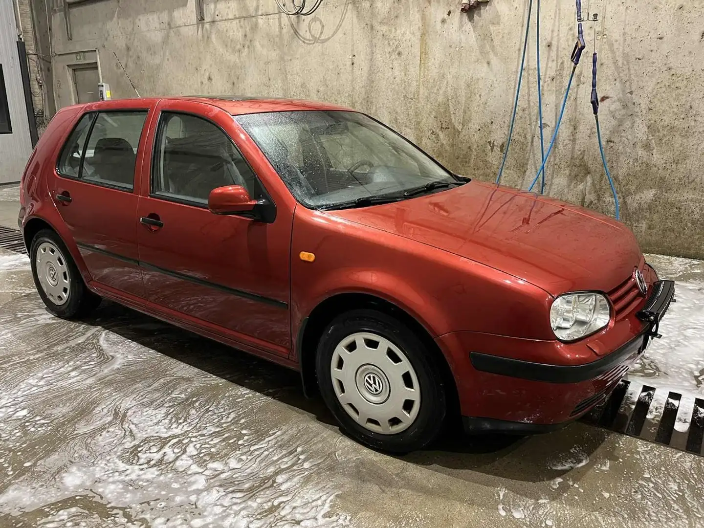 Volkswagen Golf Golf 5p 1.5d GL Rosso - 1