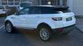 Land Rover Range Rover Evoque Prestige 2,2 TD4 Aut. Weiß - thumbnail 6