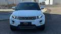 Land Rover Range Rover Evoque Prestige 2,2 TD4 Aut. Weiß - thumbnail 2