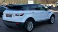 Land Rover Range Rover Evoque Prestige 2,2 TD4 Aut. Weiß - thumbnail 4