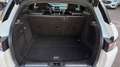 Land Rover Range Rover Evoque Prestige 2,2 TD4 Aut. Weiß - thumbnail 11