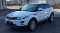 Land Rover Range Rover Evoque Prestige 2,2 TD4 Aut. Weiß - thumbnail 3