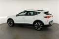CUPRA Formentor VZ 2.0 TSI 245 kW 4Drive DSG 4Drive, AHK, Navi,... Wit - thumbnail 37
