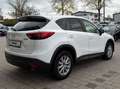 Mazda CX-5 Exclusive-Line 2WD LED Navi SHZ Tempomat Bianco - thumbnail 5