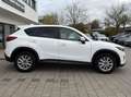 Mazda CX-5 Exclusive-Line 2WD LED Navi SHZ Tempomat Bianco - thumbnail 6